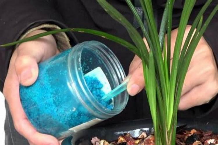 矿源黄腐酸钾叶面肥,矿源黄腐酸钾啥时用比较好,矿源黄腐酸钾作用抗旱...