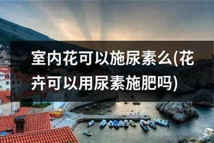 紫薇树怎么种植