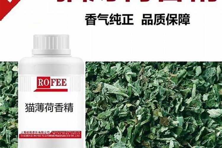 在怀化香蕉长出来,但是长不出长不大是什么原因？