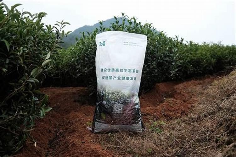 喝岩茶的九大理由和十大功效