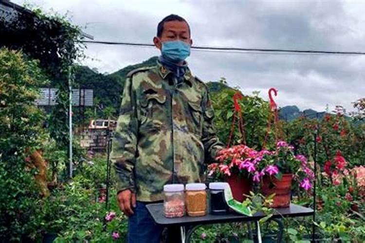 家庭养花最简单的肥料(自制营养土最简单的方法)