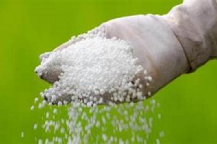 桃树什么时候用水溶肥最好