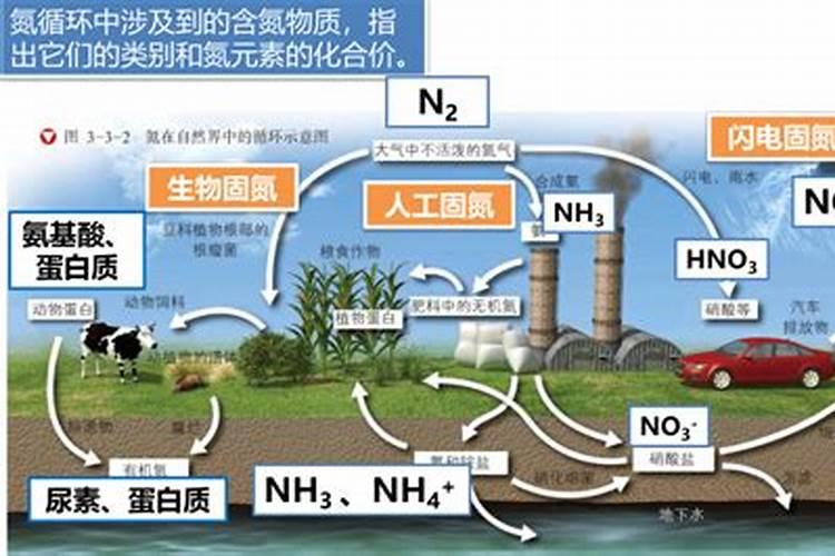 尿素是氮肥还是磷肥