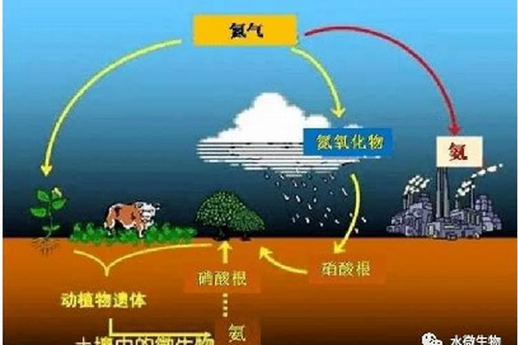 什么的颜料填空三年级