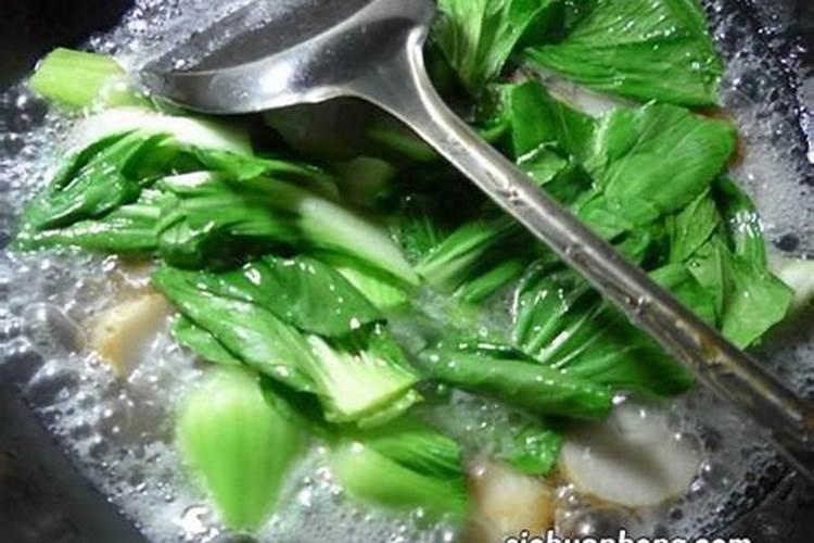 青菜施什么肥最好