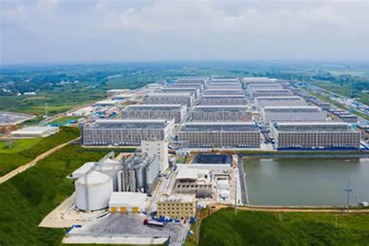 河南省南阳市有多少农业银行,都在哪里,叫什么名字