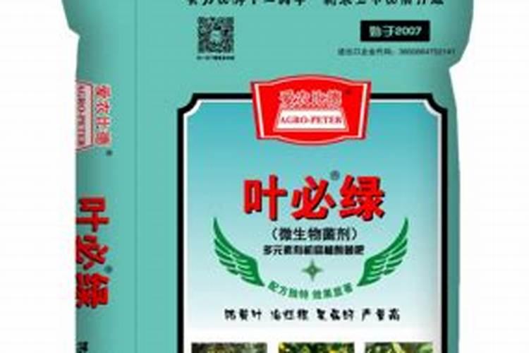 砂糖橘用什么肥料好