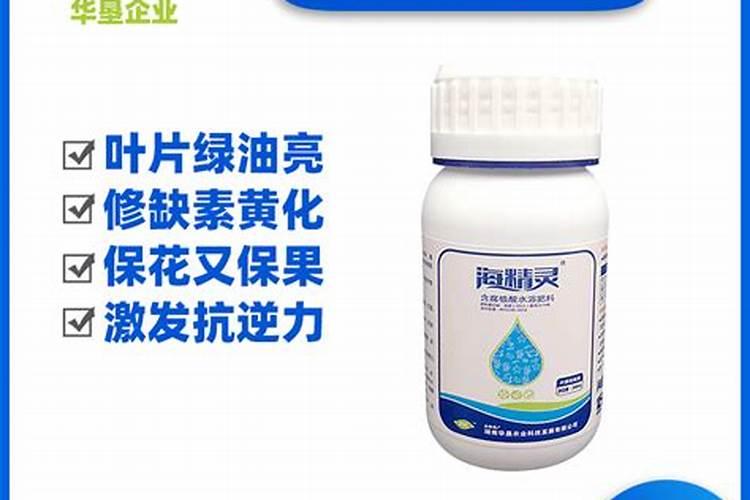 4月柑橘管理核心技术,保果工作很关键,果农如何来操作？