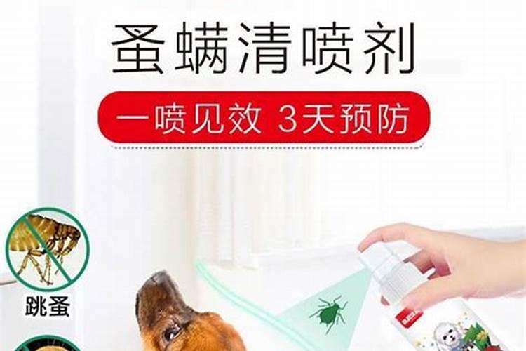 打过敌稗24小时后可以打杀虫剂吗