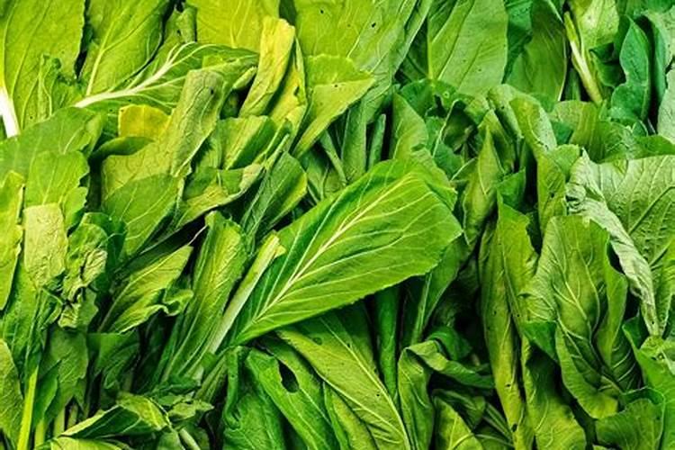 如何施用？钙肥有哪些种类？