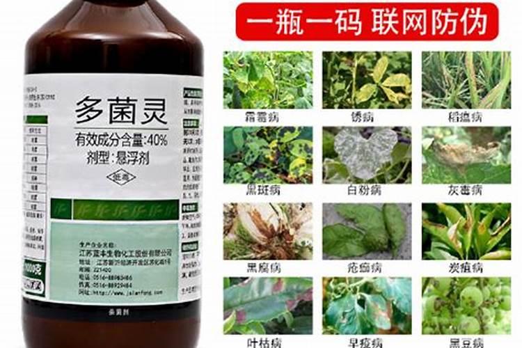 芸苔素可以解药害吗