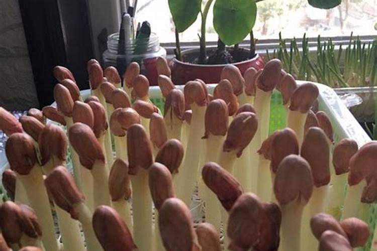 三亚的好吃的餐厅有那个比较有特色的？