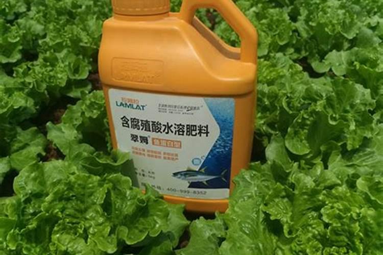 适合1一12月种的蔬菜有哪些？