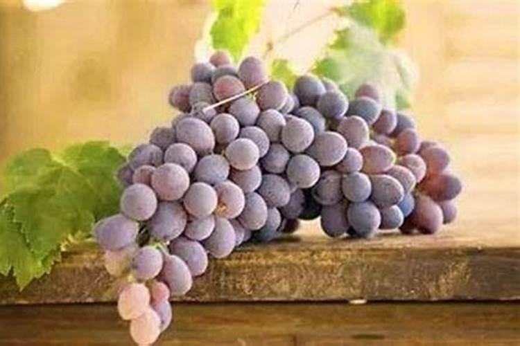 葡萄肥镁肥害了怎么办