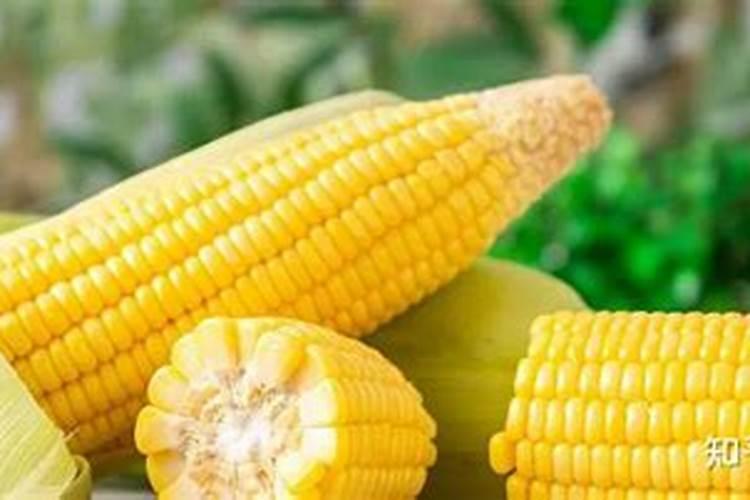 生姜什么时候施肥培土 生姜施肥培土时间