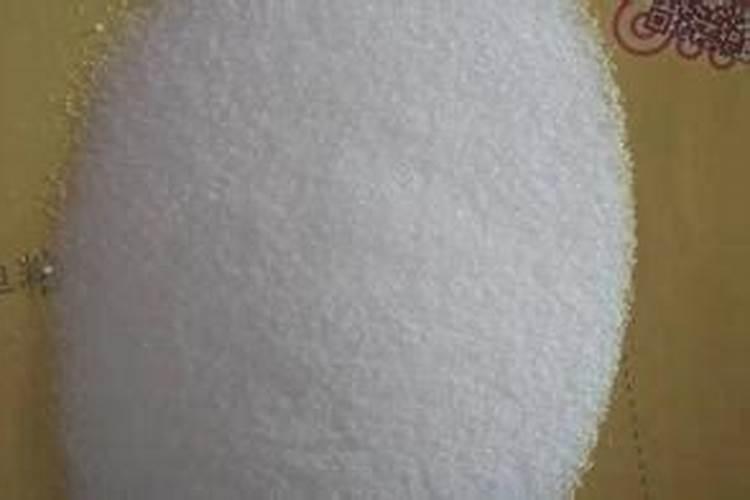 月季花七月份能栽活