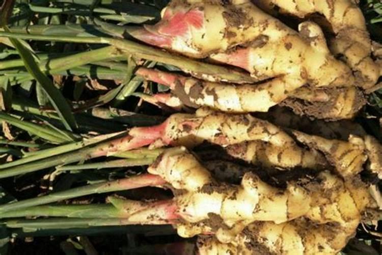 河水中总氮含量是不是越少越好