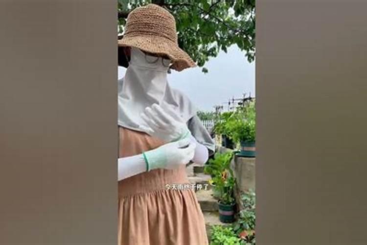 下雨天施肥好还是晴天施肥好