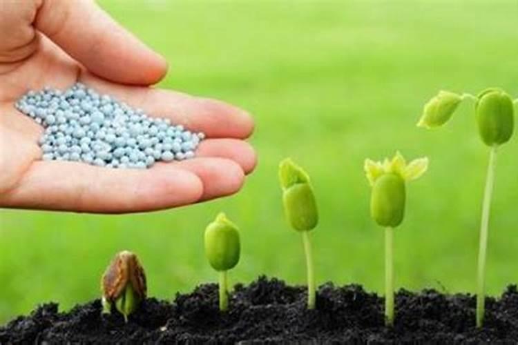 碳铵的肥效期是多长