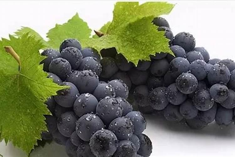 葡萄上色期使用的三种钾肥叶面肥