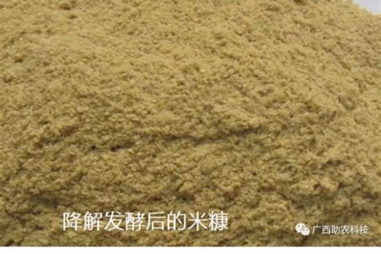 米糠可以做肥料吗