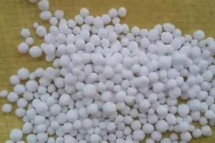 氮肥适合浇什么花