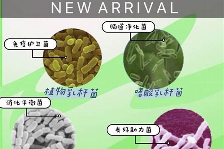 菌肥菌种越多越好吗