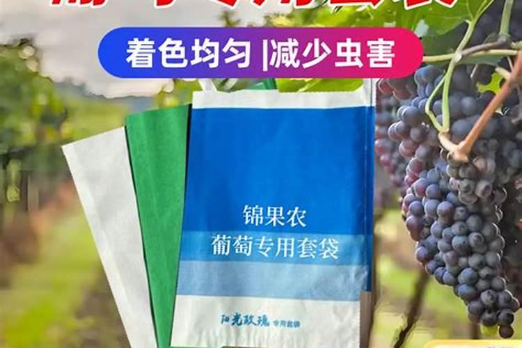 葡萄套袋后需要怎么管理？打什么药？谢谢