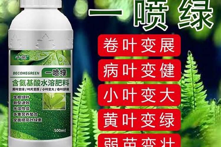 辣椒多久施肥一次