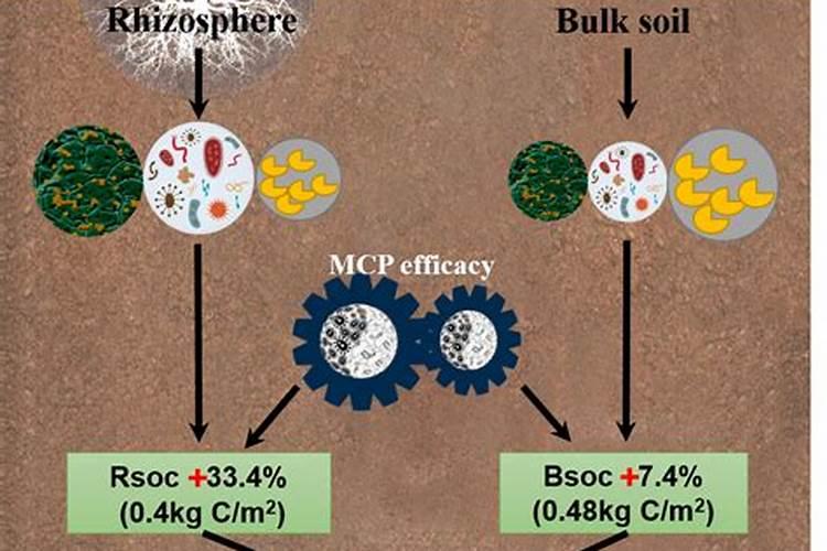 施肥小技巧——N、P、K