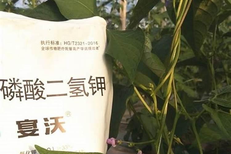 豆角需要用那种肥料？用什么肥料吸收好？上什么肥料产量高？