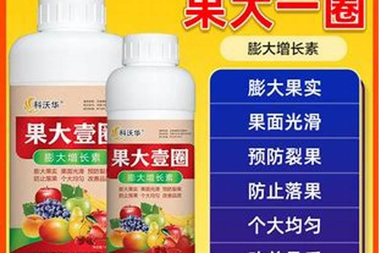 什么肥料膨大快