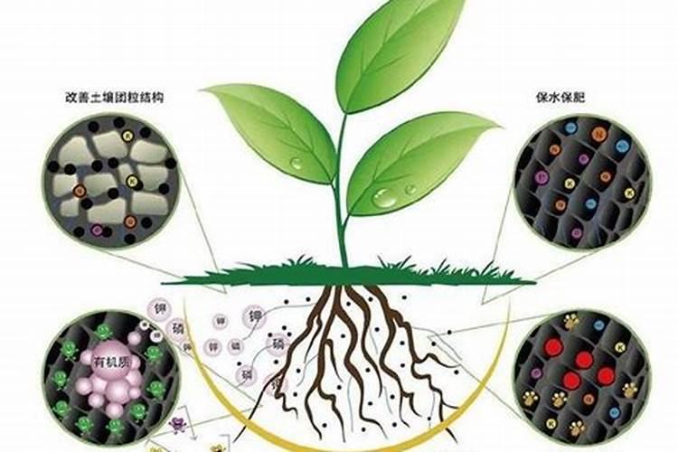 多肽鱼蛋白能和矿源黄腐酸钾一起用吗？