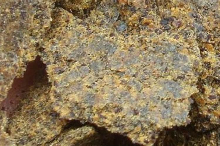 菜籽饼肥料的使用方法