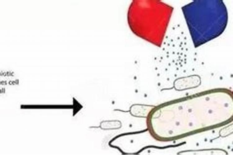 复合肥是用什么原料做成的