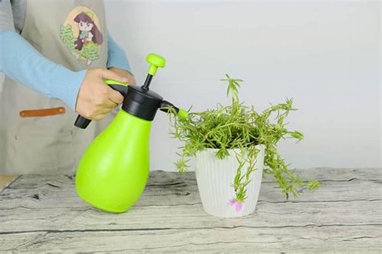 黄腐酸与腐植酸区别