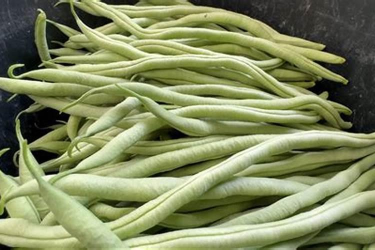 草朩灰泡水可以浇梨树吗