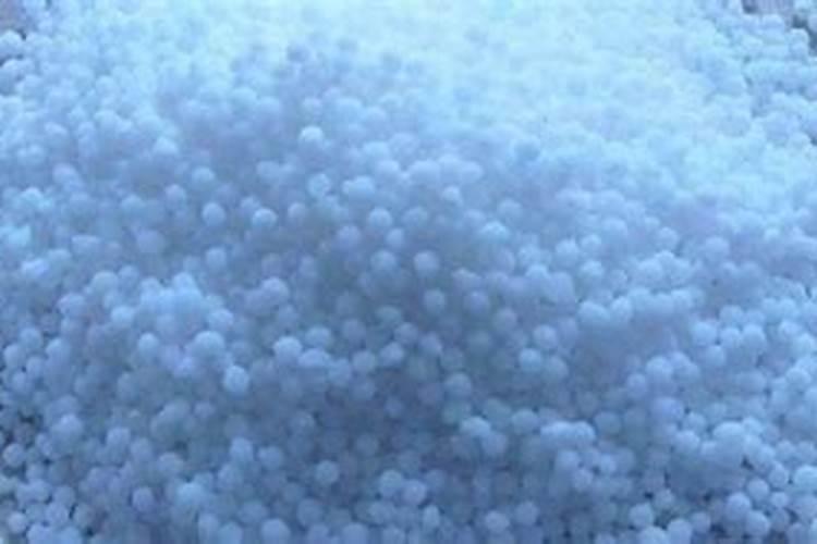 怎样补硼？为什么土施硼肥是不宜？