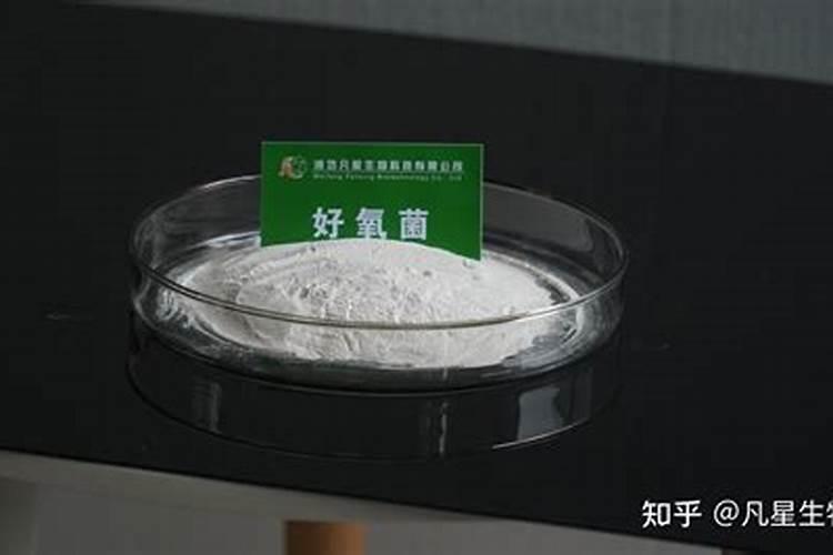 污水处理工艺有哪几种