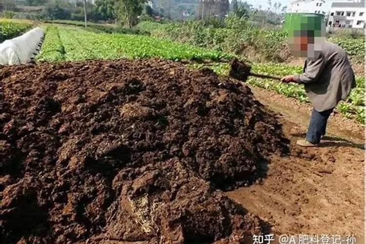 土豆膨大用哪种钾肥好