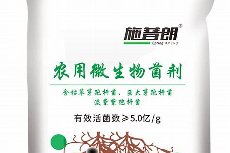 惠灵顿与布吕歇尔分别是哪国的？