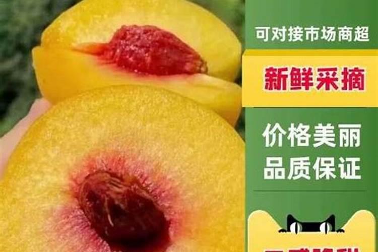 国产硫酸钾与进口硫酸钾哪个好