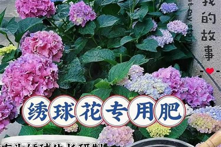 茄子保花保果喷什么叶面肥结果多？茄子挂果期用哪种水溶肥效果好？
