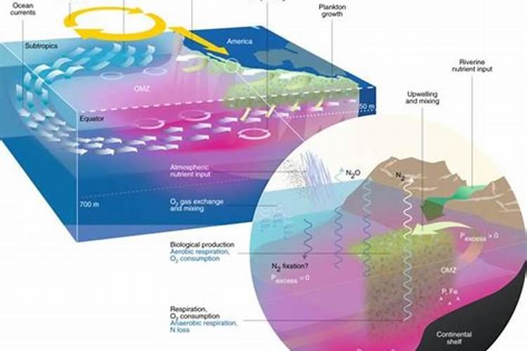 磷肥有哪些特征？