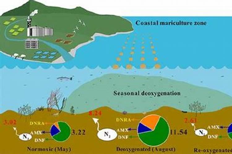 磷肥由什么组成