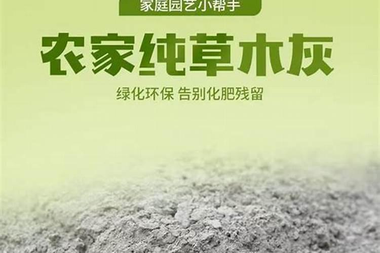 种茶花的土中可以放些柴木灰吗