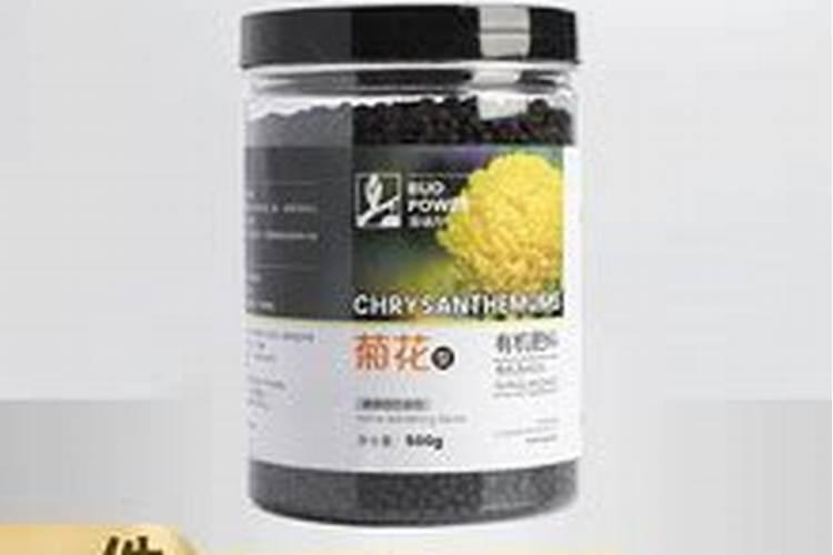 月季花哪时候施肥比较好 月季花什么时候施肥