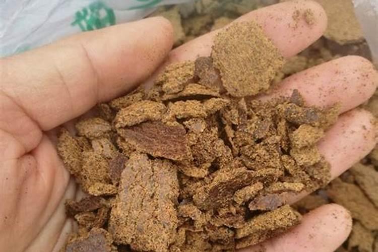 饼肥可以直接拌土里做底肥吗