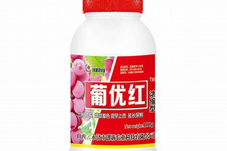 茭白常见的病害有哪些怎么防治