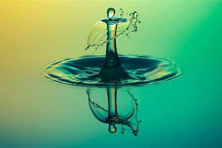 绣球花花期养护方法 开花期间如何浇水、施肥